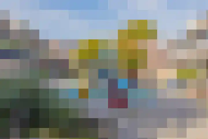 Grote Boterbloem 65 Velserbroek thumbnail 7