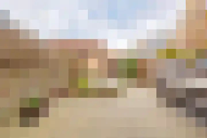 Grote Boterbloem 74 Velserbroek thumbnail 4