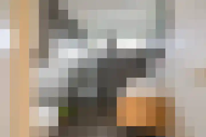 Grote Boterbloem 74 Velserbroek thumbnail 5