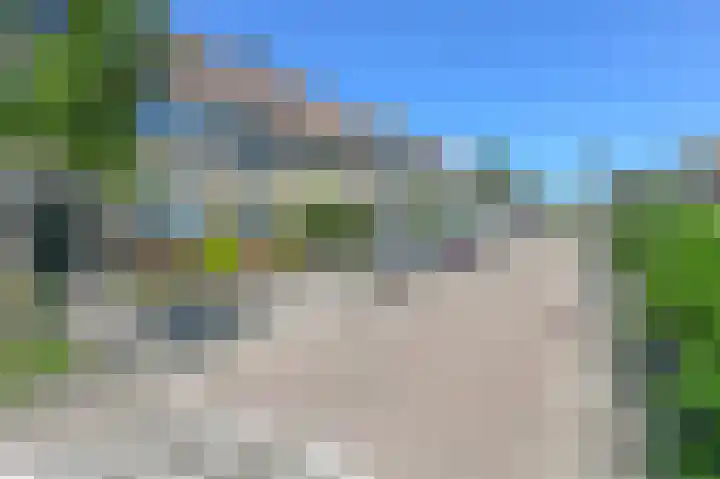 Grote Boterbloem 78 Velserbroek thumbnail 31