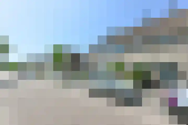 Grote Boterbloem 78 Velserbroek thumbnail 33