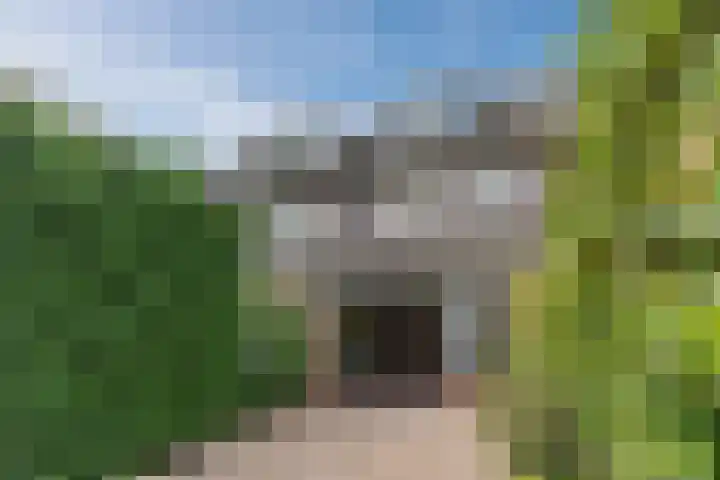Grote Boterbloem 81 Velserbroek thumbnail 17
