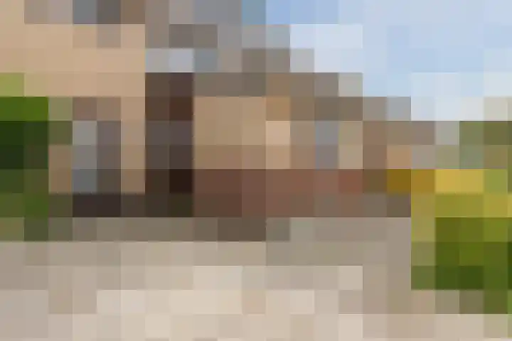 Grote Boterbloem 81 Velserbroek thumbnail 22