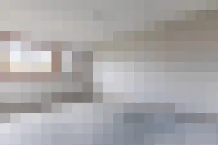 Grote Boterbloem 81 Velserbroek thumbnail 30