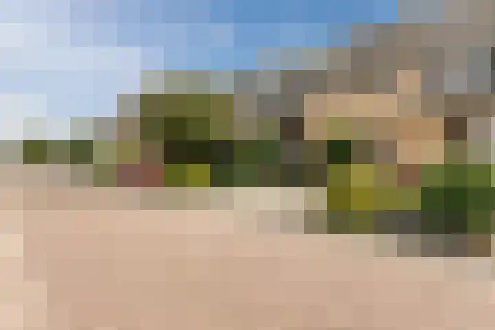 Grote Boterbloem 81 Velserbroek thumbnail 47