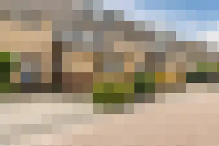 Grote Boterbloem 81 Velserbroek thumbnail 5