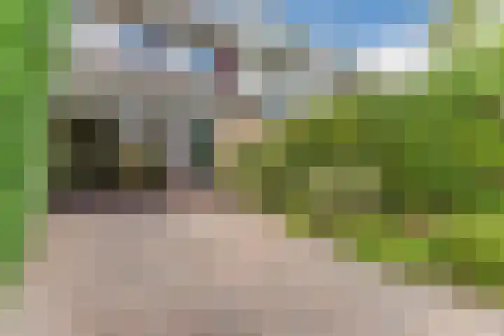 Grote Boterbloem 81 Velserbroek thumbnail 6