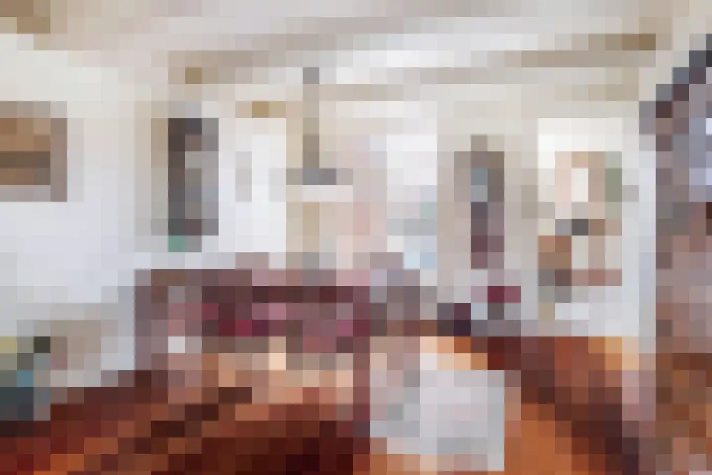 Grote Bredeplaats 4 Harlingen thumbnail 14