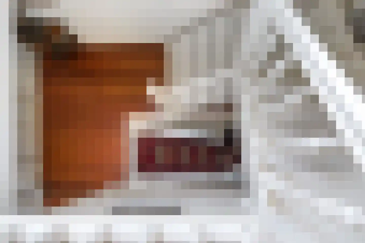 Grote Bredeplaats 4 Harlingen thumbnail 33