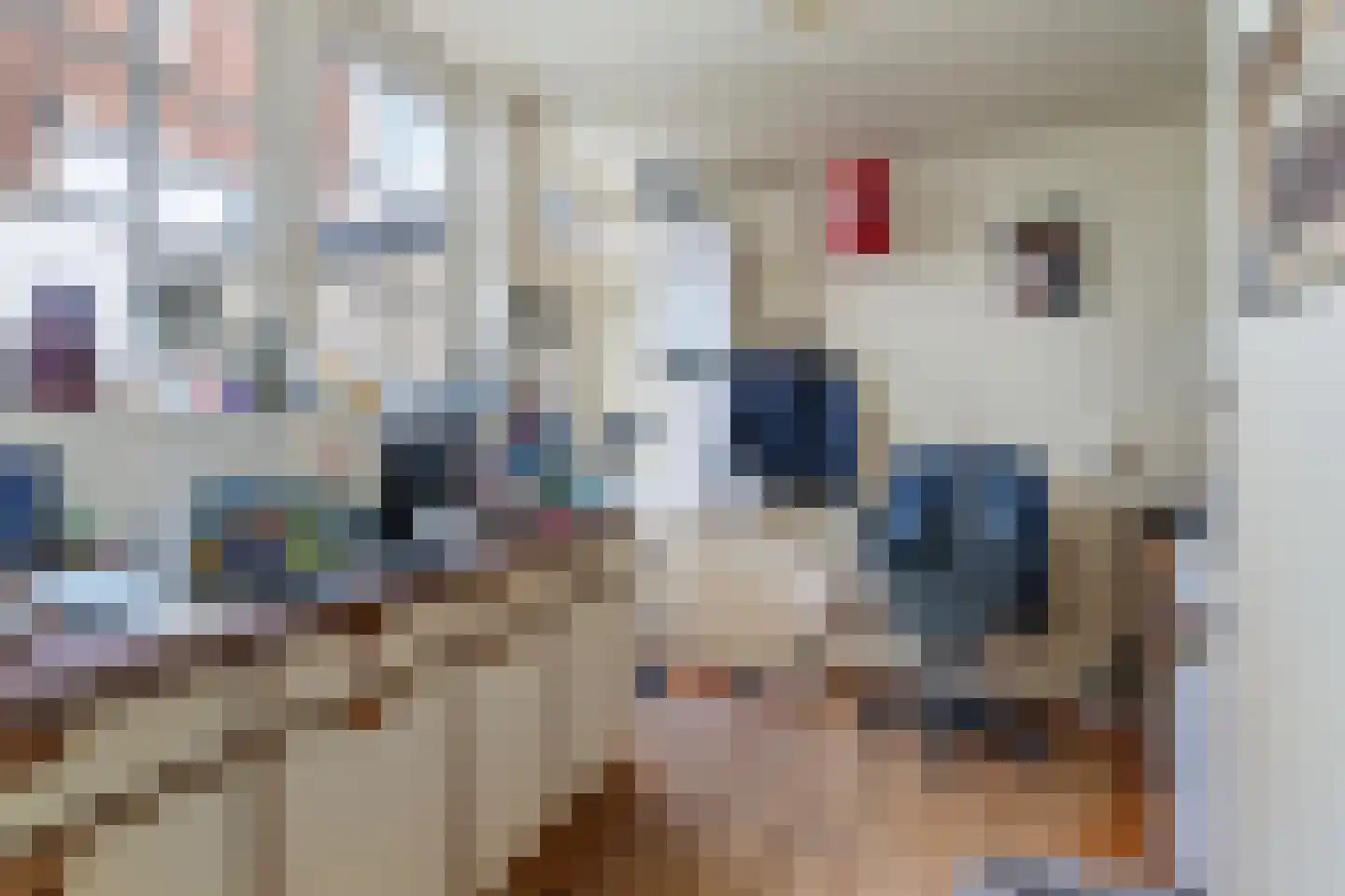 Grote Bredeplaats 4 Harlingen thumbnail 41