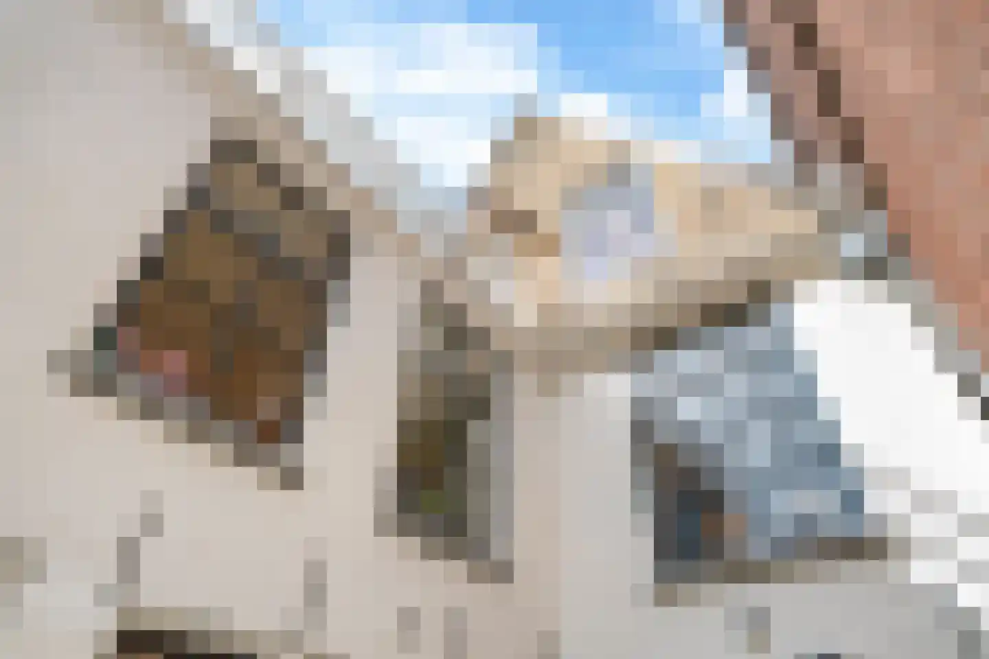Grote Bredeplaats 4 Harlingen thumbnail 44