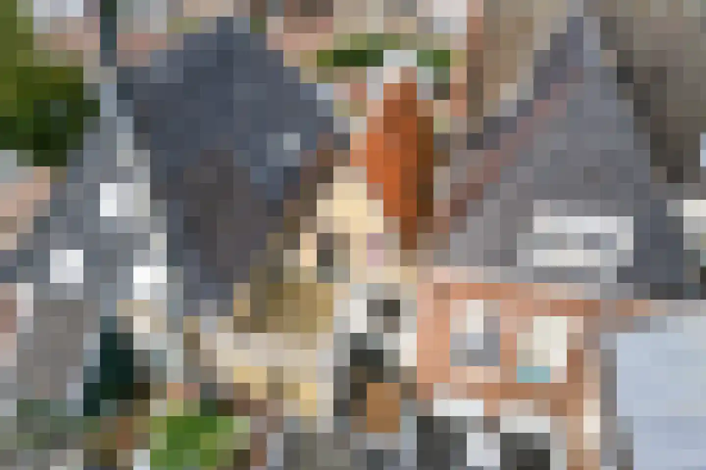 Grote Bredeplaats 4 Harlingen thumbnail 46