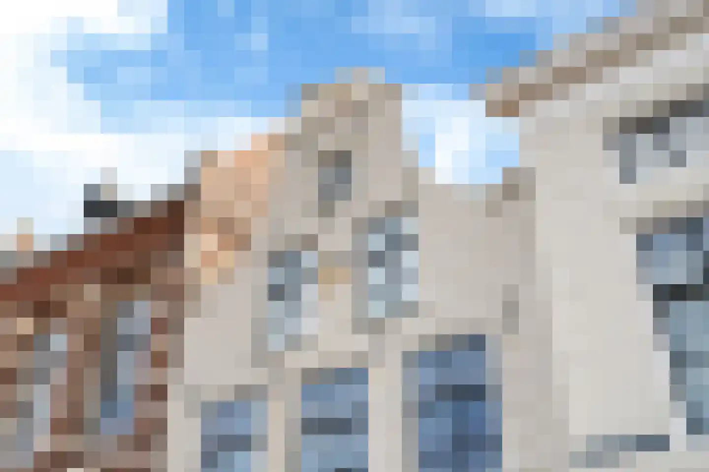 Grote Bredeplaats 4 Harlingen thumbnail 5