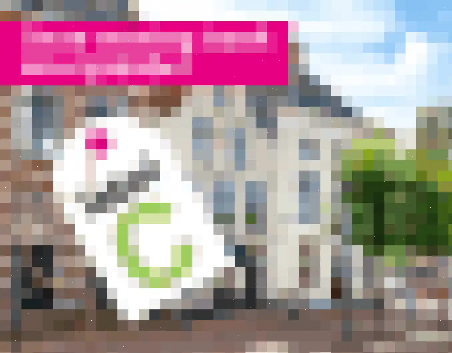 Grote Bredeplaats 4 Harlingen thumbnail 58