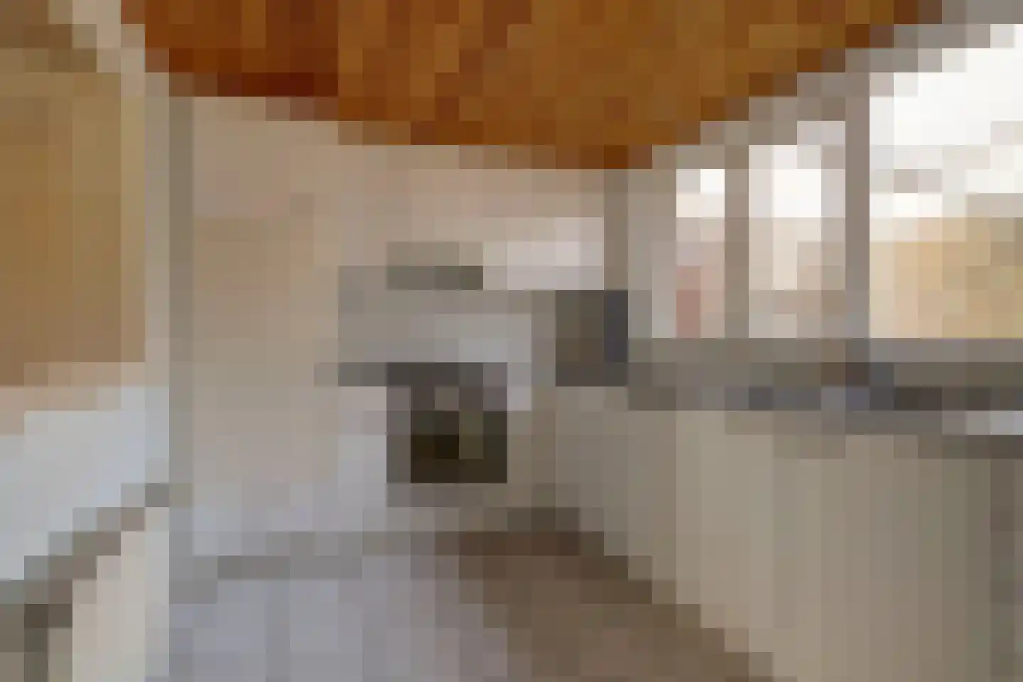 Grote Bredeplaats 7 Harlingen thumbnail 10