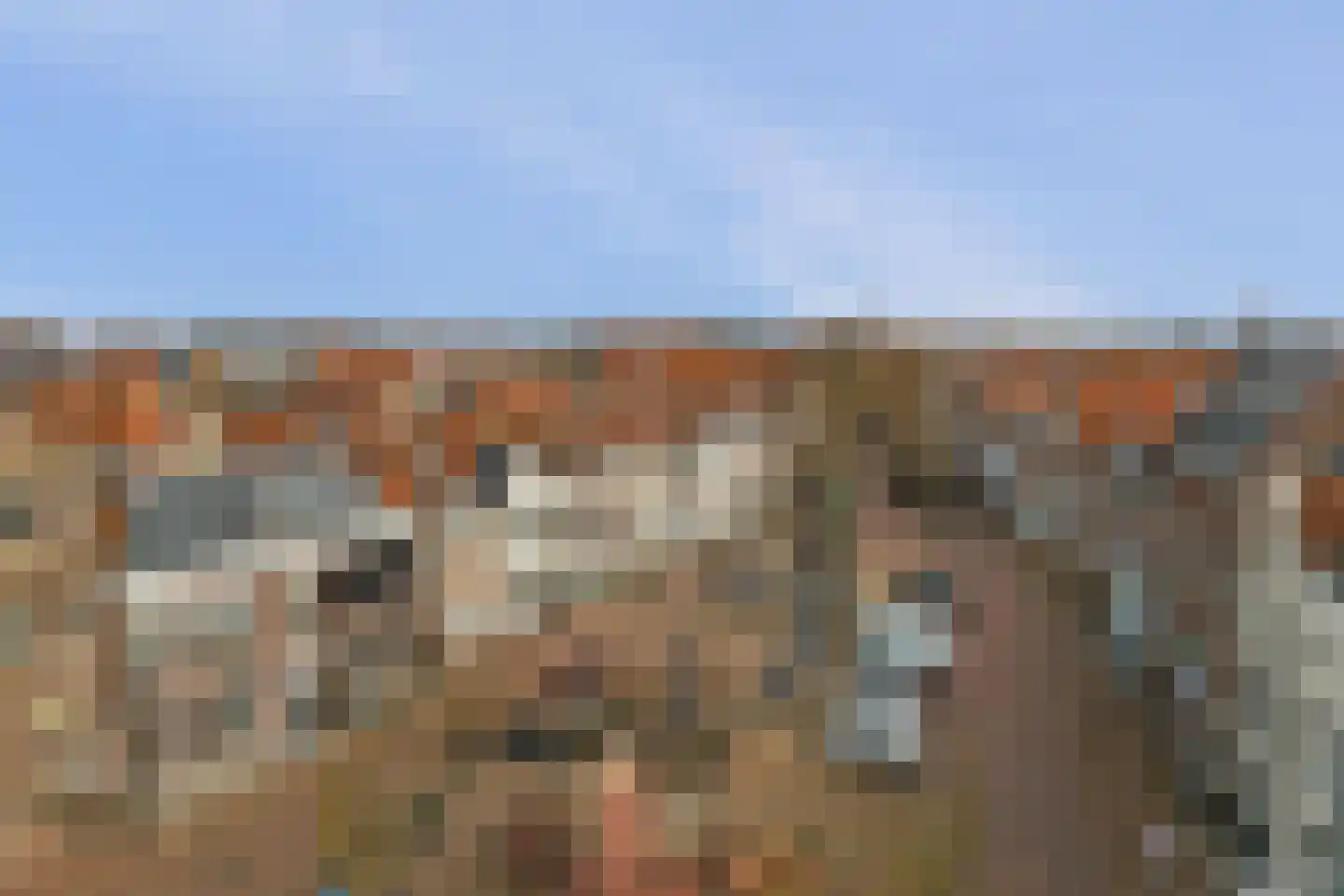 Grote Bredeplaats 7 Harlingen thumbnail 23
