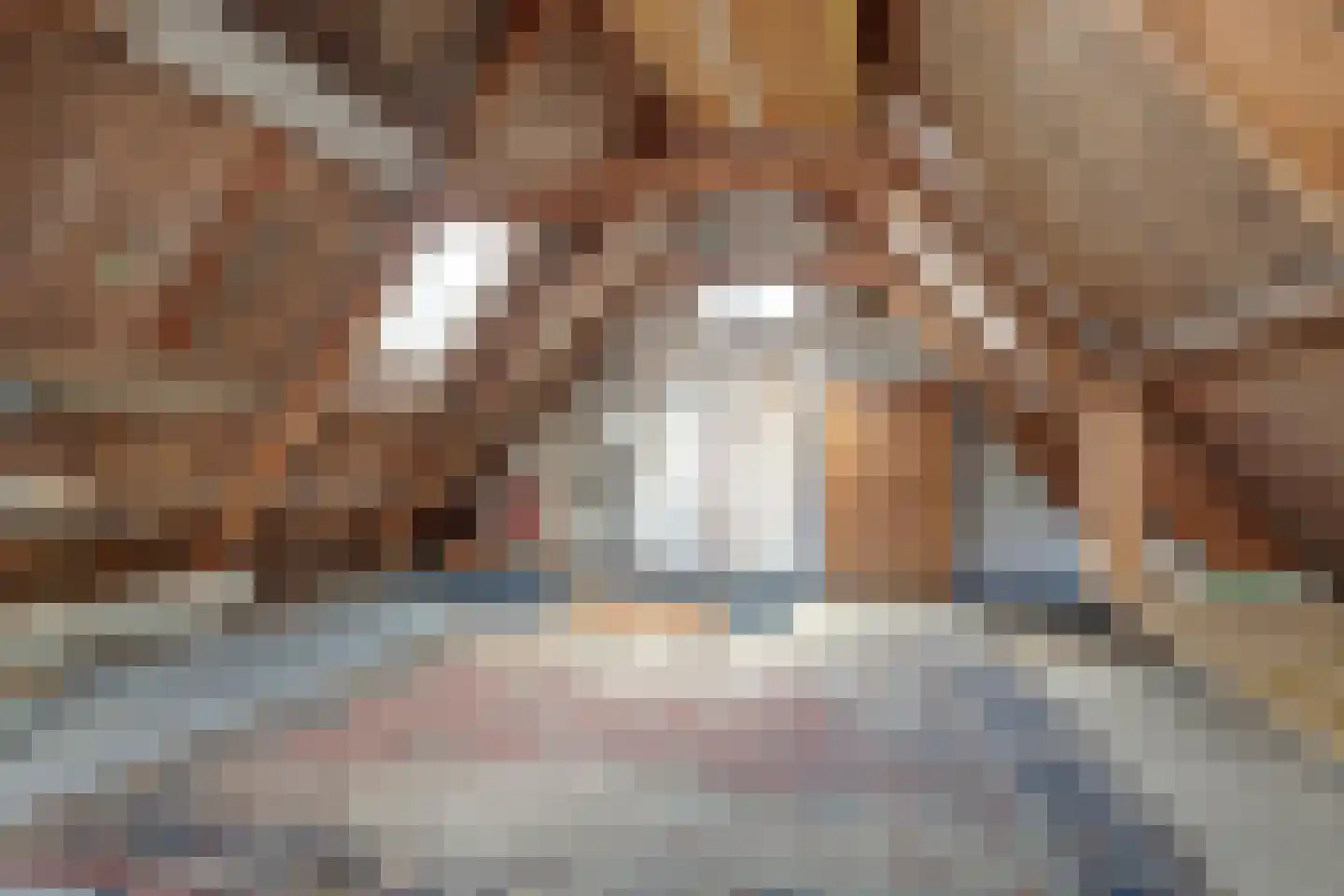 Grote Bredeplaats 7 Harlingen thumbnail 24