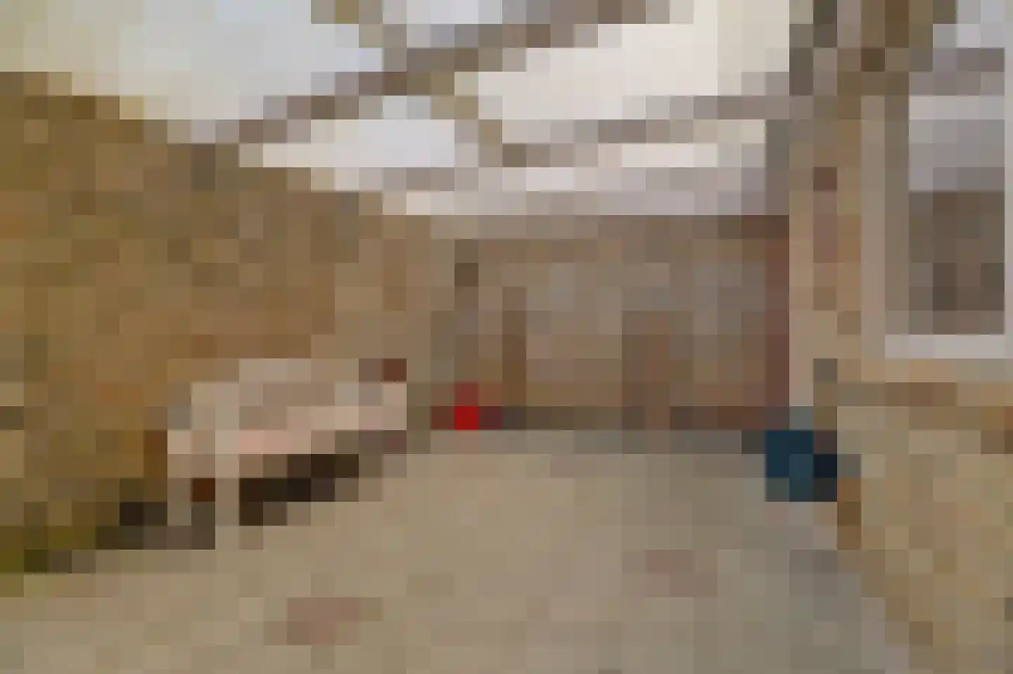 Grote Bredeplaats 7 Harlingen thumbnail 26