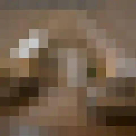 Grote Bredeplaats 7 Harlingen thumbnail 31