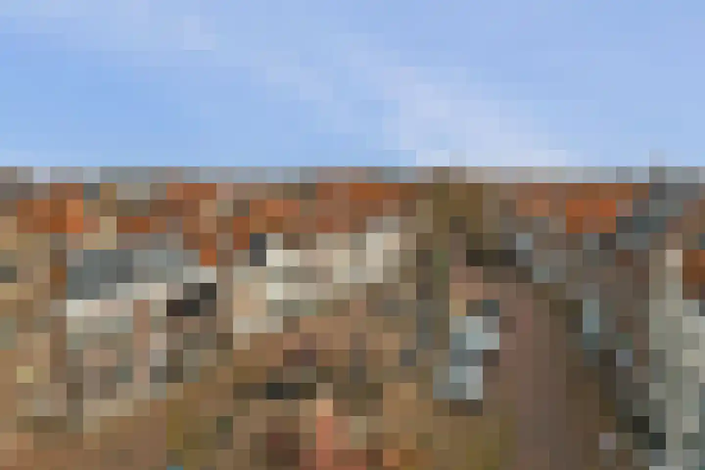 Grote Bredeplaats 7 Harlingen thumbnail 36