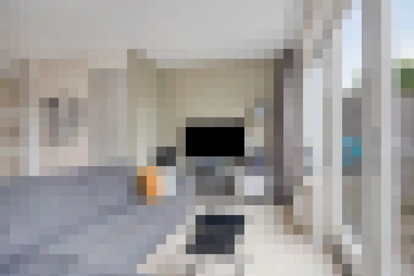 Grote Breeken 27 Driel thumbnail 13