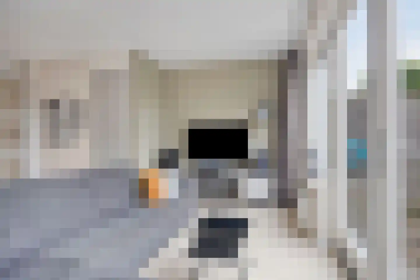 Grote Breeken 27 Driel thumbnail 14