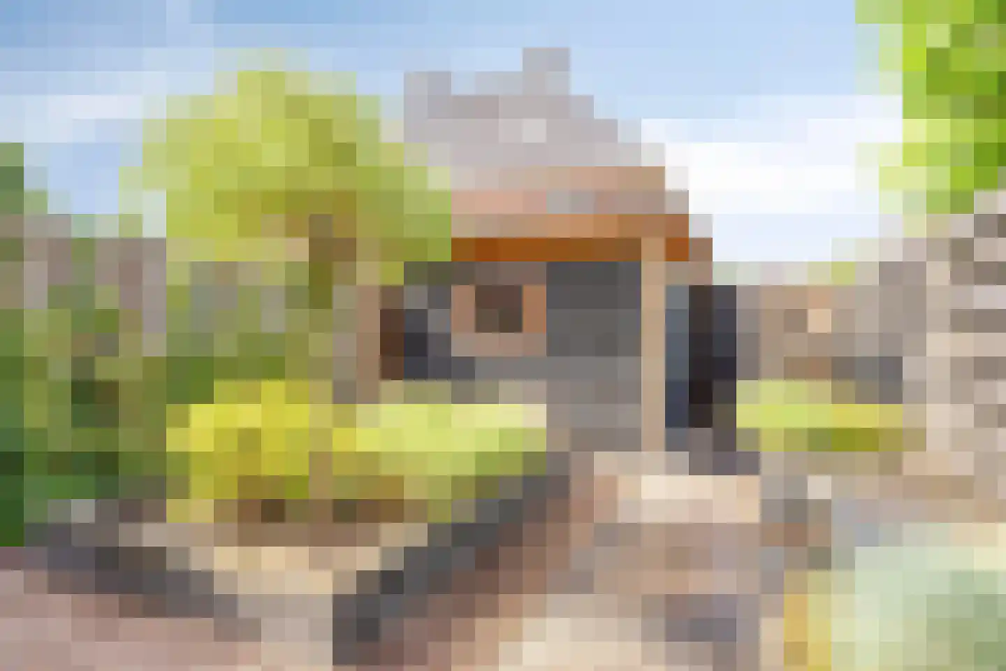 Grote Breeken 27 Driel thumbnail 39