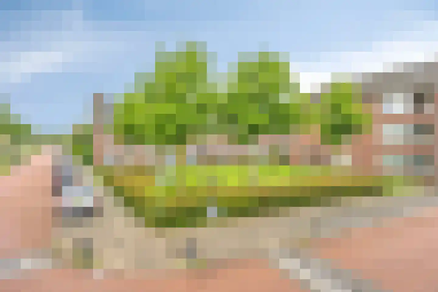 Grote Breeken 27 Driel thumbnail 41