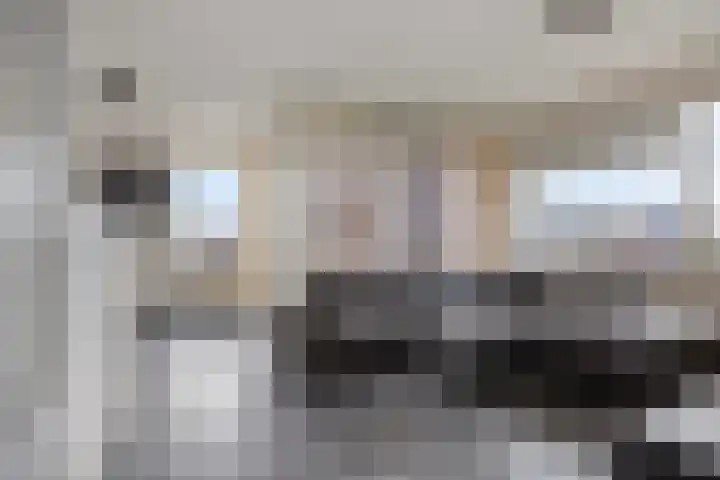 Grote Breeken 35 Driel thumbnail 12