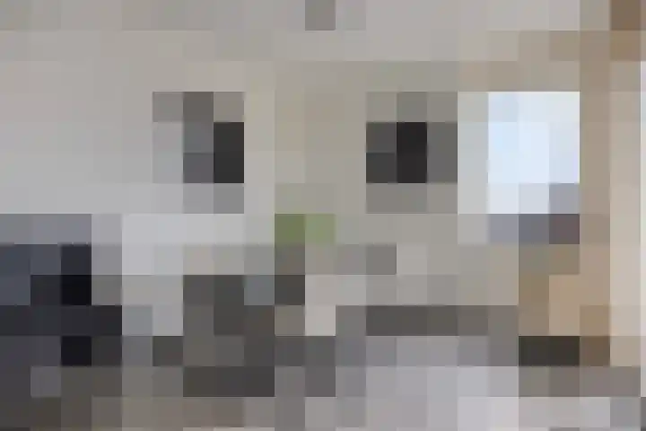 Grote Breeken 35 Driel thumbnail 15
