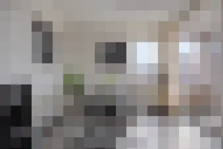 Grote Breeken 35 Driel thumbnail 16