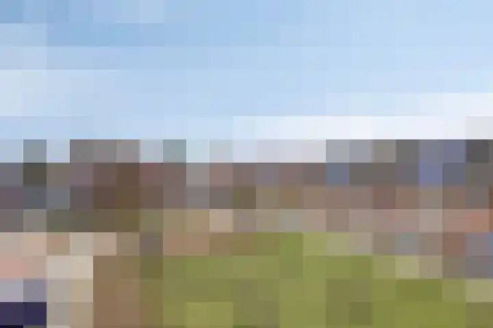 Grote Breeken 35 Driel thumbnail 32