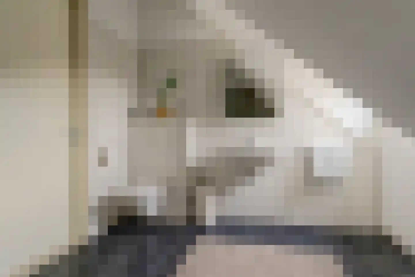 Grote Breeken 43 Driel thumbnail 26