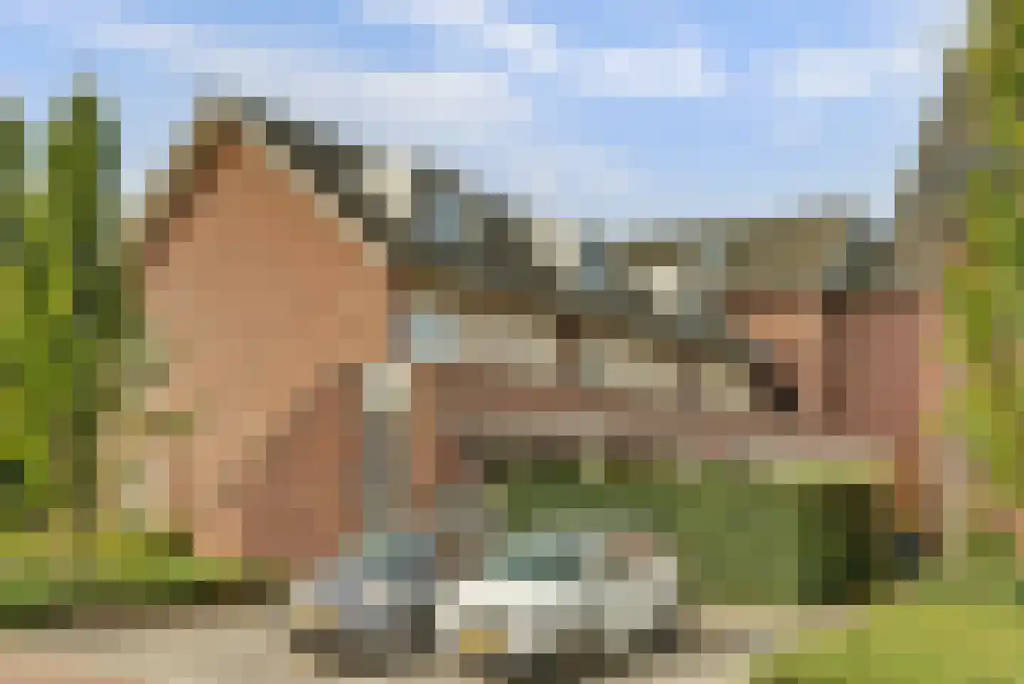 Grote Breeken 43 Driel thumbnail 31