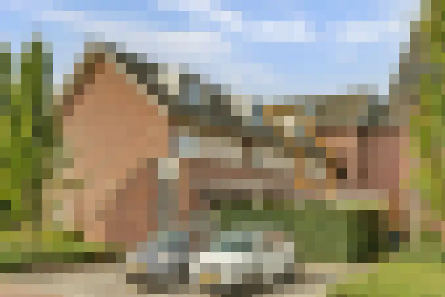 Grote Breeken 43 Driel thumbnail 6