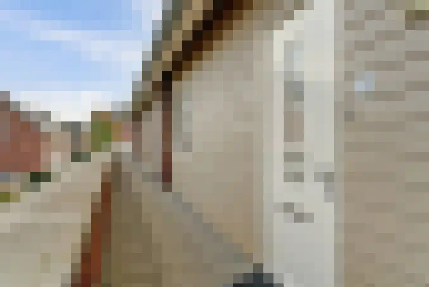 Grote Breeken 43 Driel thumbnail 7