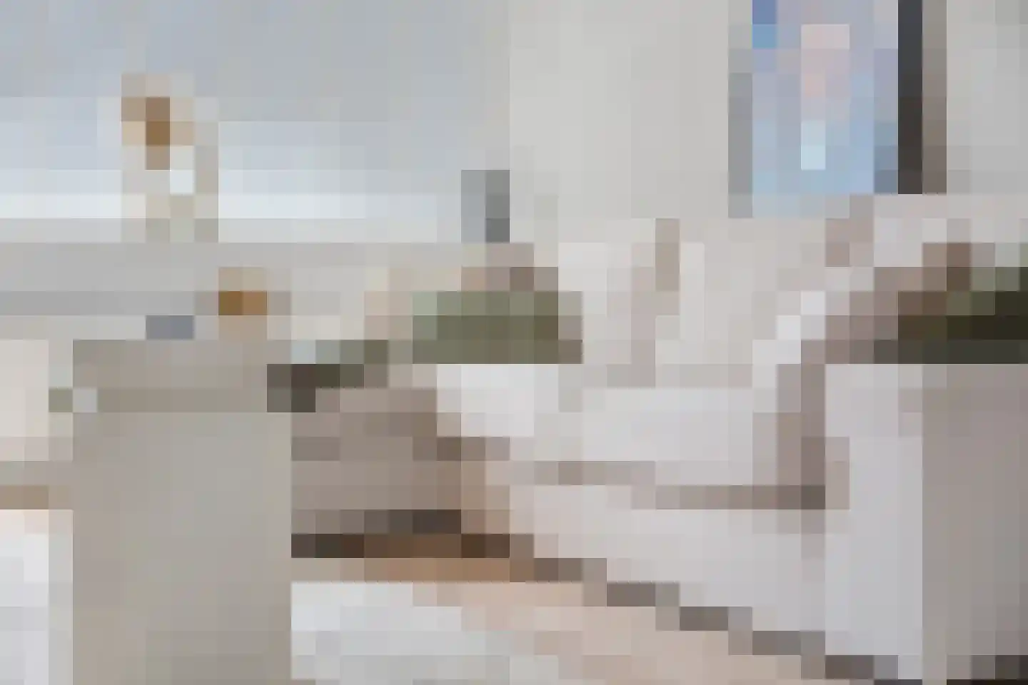 Grote Breeken 65 Driel thumbnail 11