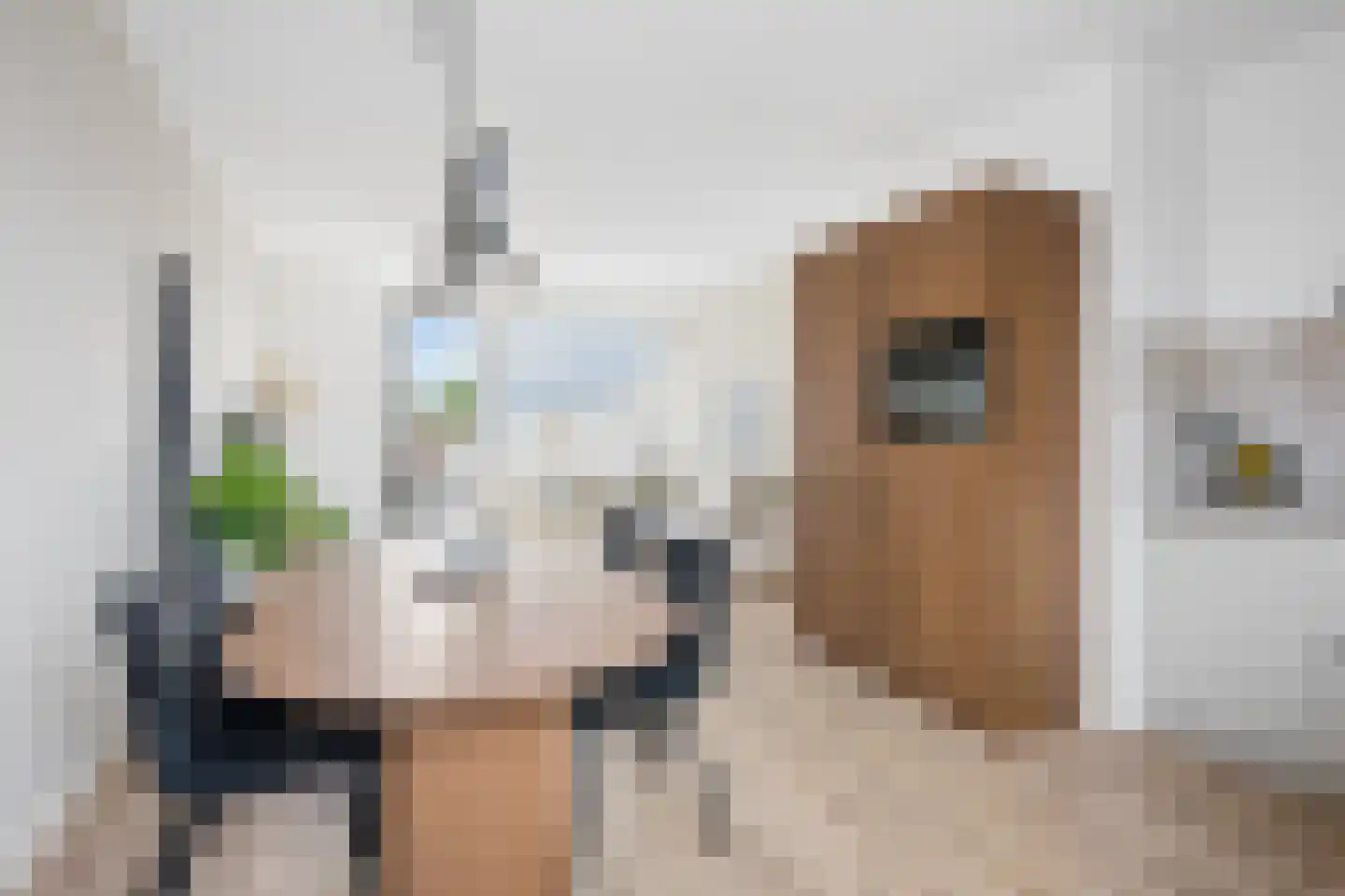 Grote Breeken 65 Driel thumbnail 16