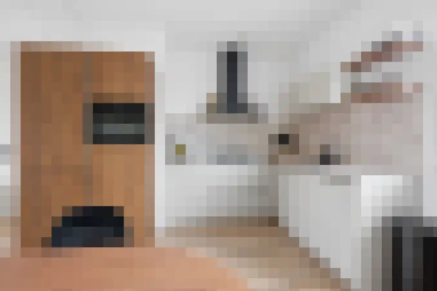 Grote Breeken 65 Driel thumbnail 21