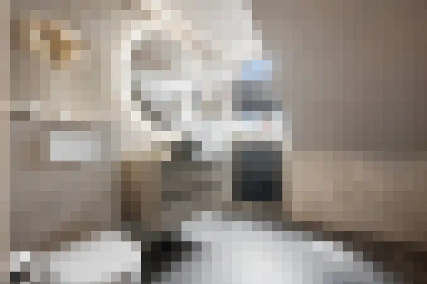 Grote Breeken 65 Driel thumbnail 36