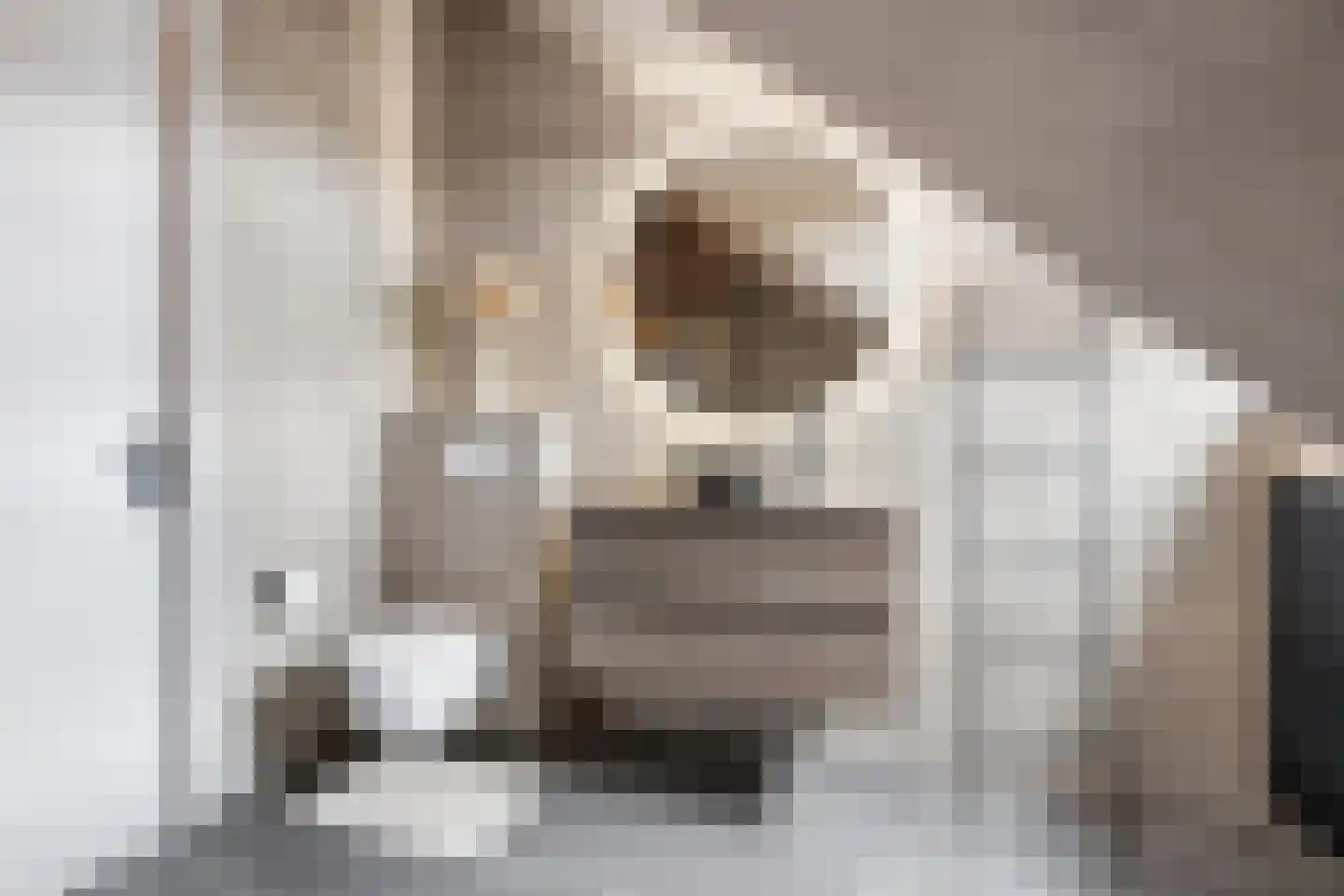 Grote Breeken 65 Driel thumbnail 40