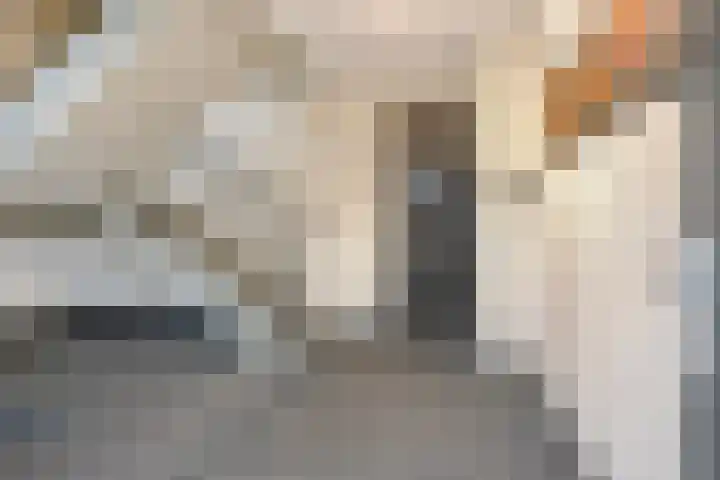 Grote Breeken 73 Driel thumbnail 10
