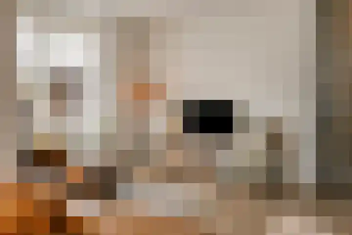 Grote Breeken 73 Driel thumbnail 25