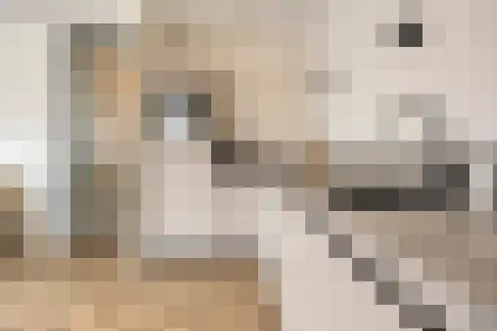 Grote Breeken 73 Driel thumbnail 27