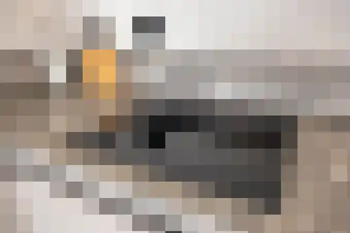 Grote Breeken 73 Driel thumbnail 28
