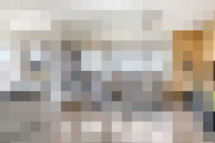 Grote Breeken 75 Driel thumbnail 16
