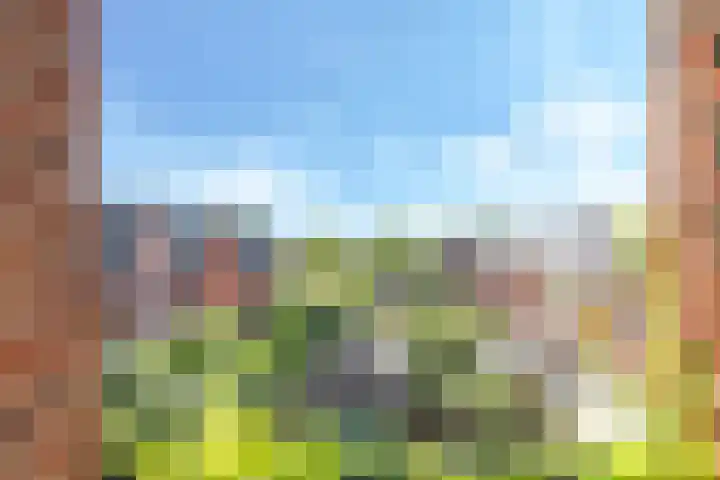 Grote Breeken 75 Driel thumbnail 50