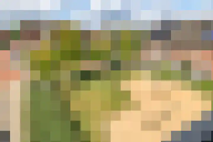 Grote Breeken 75 Driel thumbnail 52