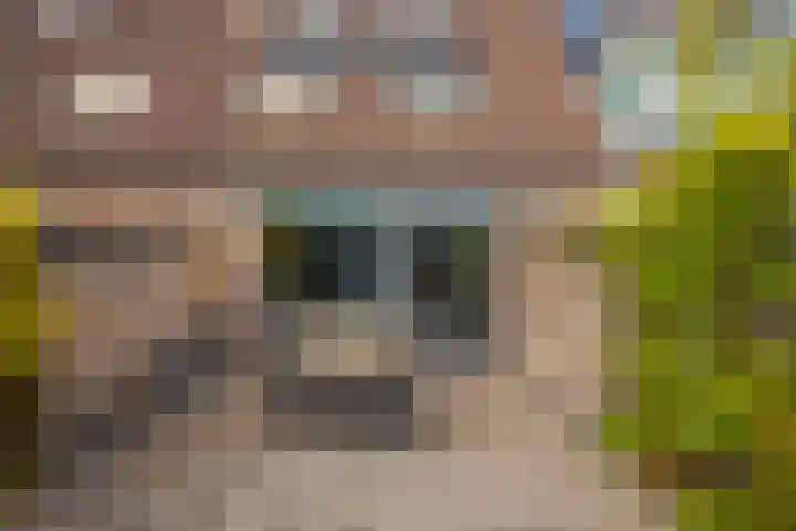 Grote Breide 5 Westervoort thumbnail 19
