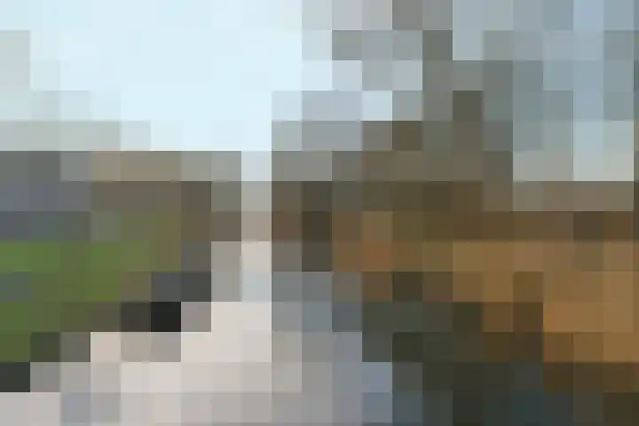 Grote Brekkenstraat 27 Almere thumbnail 44